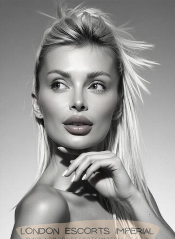 Gloucester Road 400-to-600 Valentine london escort
