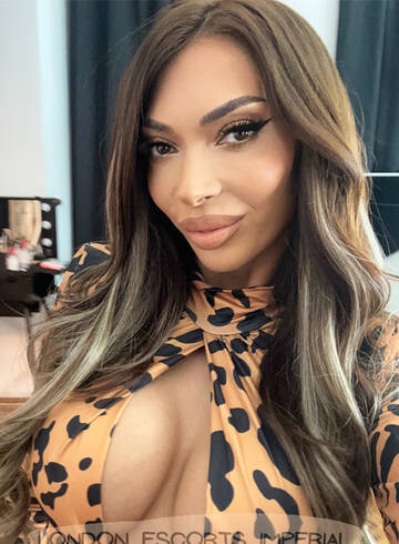 Marylebone 200-to-300 Reale london escort